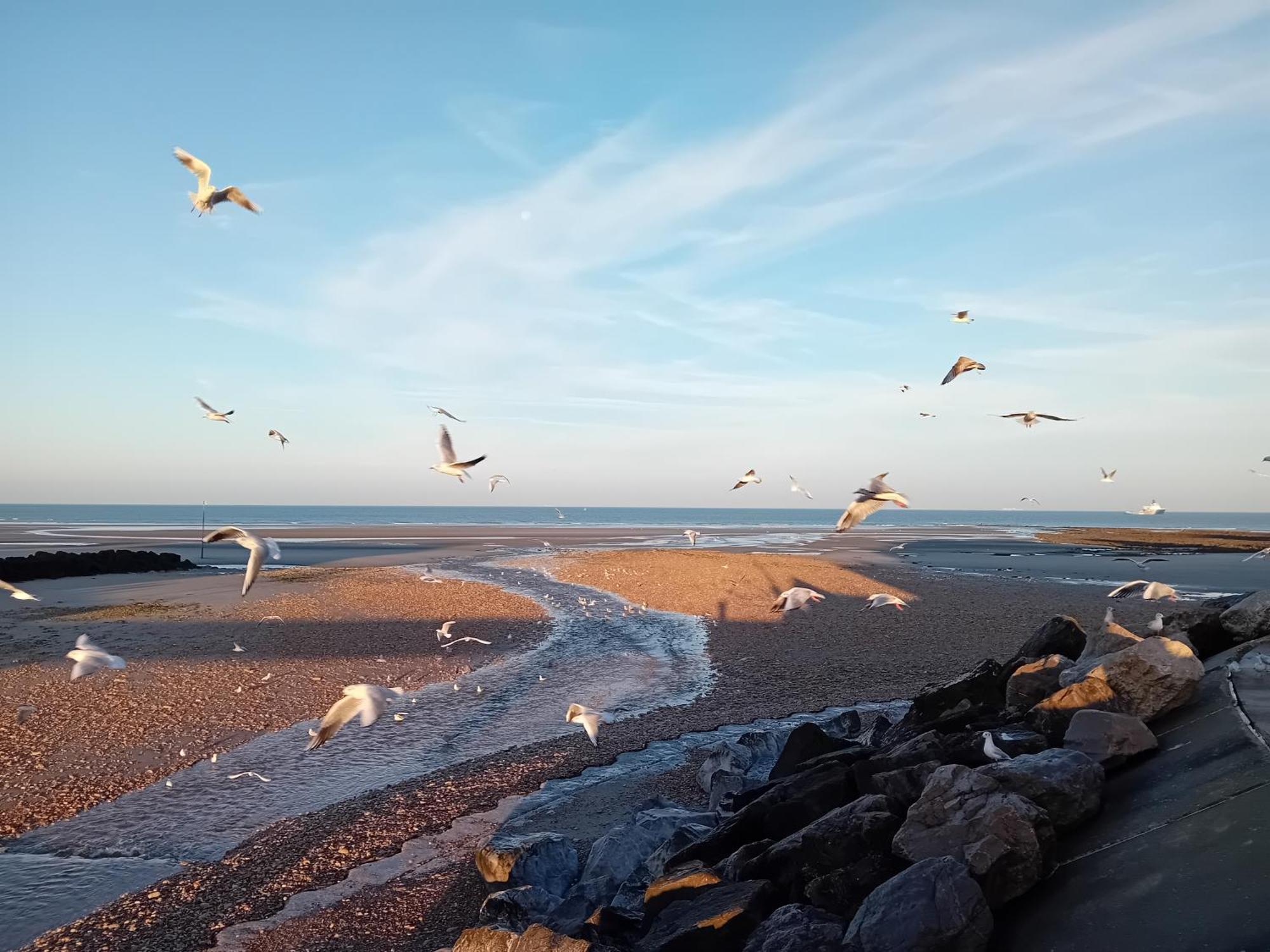 Thalassa * Audresselles